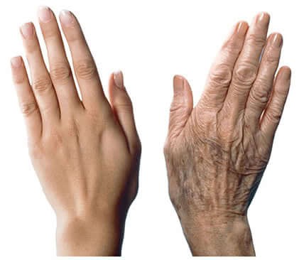 younger and aging hands